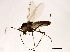  ( - HLC-27104)  @13 [ ] CreativeCommons - Attribution (2009) Unspecified Centre for Biodiversity Genomics