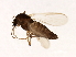 ( - HLC-27110)  @12 [ ] CreativeCommons - Attribution (2009) Unspecified Centre for Biodiversity Genomics