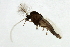  ( - HLC-27150)  @12 [ ] CreativeCommons - Attribution (2009) Unspecified Centre for Biodiversity Genomics
