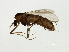  ( - HLC-27168)  @13 [ ] CreativeCommons - Attribution (2009) Unspecified Centre for Biodiversity Genomics
