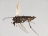  ( - HLC-26898)  @13 [ ] CreativeCommons - Attribution (2009) Unspecified Centre for Biodiversity Genomics