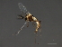  ( - HLC-26982)  @13 [ ] CreativeCommons - Attribution (2009) Unspecified Centre for Biodiversity Genomics