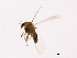  ( - HLC-27056)  @12 [ ] CreativeCommons - Attribution (2009) Unspecified Centre for Biodiversity Genomics