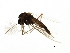  ( - HLC-27173)  @12 [ ] CreativeCommons - Attribution (2009) Unspecified Centre for Biodiversity Genomics