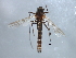 ( - HLC-27198)  @13 [ ] CreativeCommons - Attribution (2009) Unspecified Centre for Biodiversity Genomics