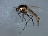  ( - HLC-27201)  @13 [ ] CreativeCommons - Attribution (2009) Unspecified Centre for Biodiversity Genomics