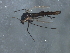  ( - HLC-27235)  @12 [ ] CreativeCommons - Attribution (2009) Unspecified Centre for Biodiversity Genomics