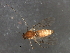  ( - HLC-27246)  @13 [ ] CreativeCommons - Attribution (2009) Unspecified Centre for Biodiversity Genomics