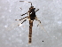  ( - HLC-27326)  @12 [ ] CreativeCommons - Attribution (2009) Unspecified Centre for Biodiversity Genomics