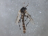  ( - HLC-27359)  @13 [ ] CreativeCommons - Attribution (2009) Unspecified Centre for Biodiversity Genomics