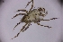 ( - sci2678)  @11 [ ] CreativeCommons  Attribution Non-Commercial Share-Alike (2021) Unspecified Instituto de Productos Naturales y Agrobiología, Consejo Superior de Investigaciones Científicas (IPNA-CSIC)