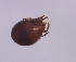  ( - sci2525)  @11 [ ] CreativeCommons  Attribution Non-Commercial Share-Alike (2021) Unspecified Instituto de Productos Naturales y Agrobiología, Consejo Superior de Investigaciones Científicas (IPNA-CSIC)