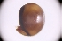  ( - sci2532)  @11 [ ] CreativeCommons  Attribution Non-Commercial Share-Alike (2021) Unspecified Instituto de Productos Naturales y Agrobiología, Consejo Superior de Investigaciones Científicas (IPNA-CSIC)