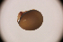  ( - sci2967)  @11 [ ] CreativeCommons  Attribution Non-Commercial Share-Alike (2021) Unspecified Instituto de Productos Naturales y Agrobiología, Consejo Superior de Investigaciones Científicas (IPNA-CSIC)
