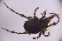  ( - sci2565)  @11 [ ] CreativeCommons  Attribution Non-Commercial Share-Alike (2021) Unspecified Instituto de Productos Naturales y Agrobiología, Consejo Superior de Investigaciones Científicas (IPNA-CSIC)