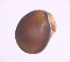  ( - sci2566)  @11 [ ] CreativeCommons  Attribution Non-Commercial Share-Alike (2021) Unspecified Instituto de Productos Naturales y Agrobiología, Consejo Superior de Investigaciones Científicas (IPNA-CSIC)