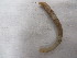  ( - 14CFFWFAtub8)  @11 [ ] Copyright (2014) Unspecified University College Dublin