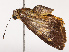  ( - CBG-B07452-A01)  @11 [ ] CreativeCommons - Attribution Share - Alike (2025) CBG Photography Group Centre for Biodiversity Genomics
