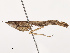  ( - CBG-B07453-A10)  @11 [ ] CreativeCommons - Attribution Share - Alike (2025) CBG Photography Group Centre for Biodiversity Genomics