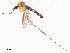  ( - CBG-B07592-G11)  @11 [ ] CreativeCommons - Attribution Share - Alike (2025) CBG Photography Group Centre for Biodiversity Genomics