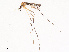  ( - CBG-B07592-H02)  @11 [ ] CreativeCommons - Attribution Share - Alike (2025) CBG Photography Group Centre for Biodiversity Genomics
