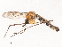  ( - CBG-B07592-H03)  @11 [ ] CreativeCommons - Attribution Share - Alike (2025) CBG Photography Group Centre for Biodiversity Genomics