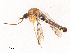  ( - CBG-B07592-H04)  @11 [ ] CreativeCommons - Attribution Share - Alike (2025) CBG Photography Group Centre for Biodiversity Genomics