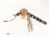  ( - CBG-B07592-H06)  @11 [ ] CreativeCommons - Attribution Share - Alike (2025) CBG Photography Group Centre for Biodiversity Genomics