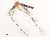  ( - CBG-B07592-H07)  @11 [ ] CreativeCommons - Attribution Share - Alike (2025) CBG Photography Group Centre for Biodiversity Genomics
