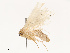  ( - CBG-B07601-D12)  @11 [ ] CreativeCommons - Attribution Share - Alike (2025) CBG Photography Group Centre for Biodiversity Genomics
