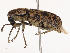  ( - CBG-B21616-G03)  @11 [ ] CreativeCommons - Attribution Share - Alike (2025) CBG Photography Group Centre for Biodiversity Genomics