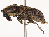  ( - CBG-B21616-G04)  @11 [ ] CreativeCommons - Attribution Share - Alike (2025) CBG Photography Group Centre for Biodiversity Genomics