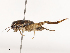  ( - CBG-B21618-D06)  @11 [ ] CreativeCommons - Attribution Share - Alike (2025) CBG Photography Group Centre for Biodiversity Genomics