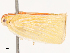  ( - CBG-B21618-E12)  @11 [ ] CreativeCommons - Attribution Share - Alike (2025) CBG Photography Group Centre for Biodiversity Genomics