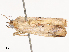  ( - CBG-B21618-G01)  @11 [ ] CreativeCommons - Attribution Share - Alike (2025) CBG Photography Group Centre for Biodiversity Genomics