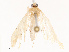  ( - CBG-B12233-C04)  @11 [ ] CreativeCommons - Attribution Share - Alike (2025) CBG Photography Group Centre for Biodiversity Genomics