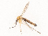  ( - CBG-B12233-H08)  @11 [ ] CreativeCommons - Attribution Share - Alike (2025) CBG Photography Group Centre for Biodiversity Genomics