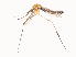  ( - CBG-B12233-H09)  @11 [ ] CreativeCommons - Attribution Share - Alike (2025) CBG Photography Group Centre for Biodiversity Genomics