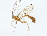  ( - BIOUG95346-F07)  @11 [ ] CreativeCommons - Attribution (2023) CBG Photography Group Centre for Biodiversity Genomics