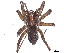  ( - BIOUG95346-H03)  @11 [ ] CreativeCommons - Attribution Non-Commercial Share-Alike (2023) CBG Photography Group Centre for Biodiversity Genomics