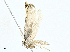  ( - BIOUG97793-B05)  @11 [ ] CreativeCommons - Attribution (2023) CBG Photography Group Centre for Biodiversity Genomics