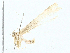  ( - BIOUG97793-C05)  @11 [ ] CreativeCommons - Attribution (2023) CBG Photography Group Centre for Biodiversity Genomics
