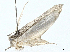  ( - BIOUG97793-C09)  @11 [ ] CreativeCommons - Attribution (2023) CBG Photography Group Centre for Biodiversity Genomics