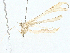  ( - BIOUG97793-D03)  @11 [ ] CreativeCommons - Attribution (2023) CBG Photography Group Centre for Biodiversity Genomics