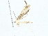  ( - BIOUG97793-D05)  @11 [ ] CreativeCommons - Attribution (2023) CBG Photography Group Centre for Biodiversity Genomics