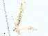  ( - BIOUG97793-E04)  @11 [ ] CreativeCommons - Attribution (2023) CBG Photography Group Centre for Biodiversity Genomics