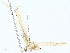  ( - BIOUG97793-E09)  @11 [ ] CreativeCommons - Attribution (2023) CBG Photography Group Centre for Biodiversity Genomics