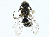  ( - BIOUG97793-G07)  @11 [ ] CreativeCommons - Attribution (2023) CBG Photography Group Centre for Biodiversity Genomics