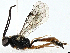  ( - BIOUG97794-A04)  @11 [ ] CreativeCommons - Attribution (2023) CBG Photography Group Centre for Biodiversity Genomics