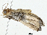  ( - BIOUG97794-H09)  @11 [ ] CreativeCommons - Attribution (2023) CBG Photography Group Centre for Biodiversity Genomics